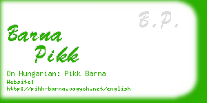 barna pikk business card